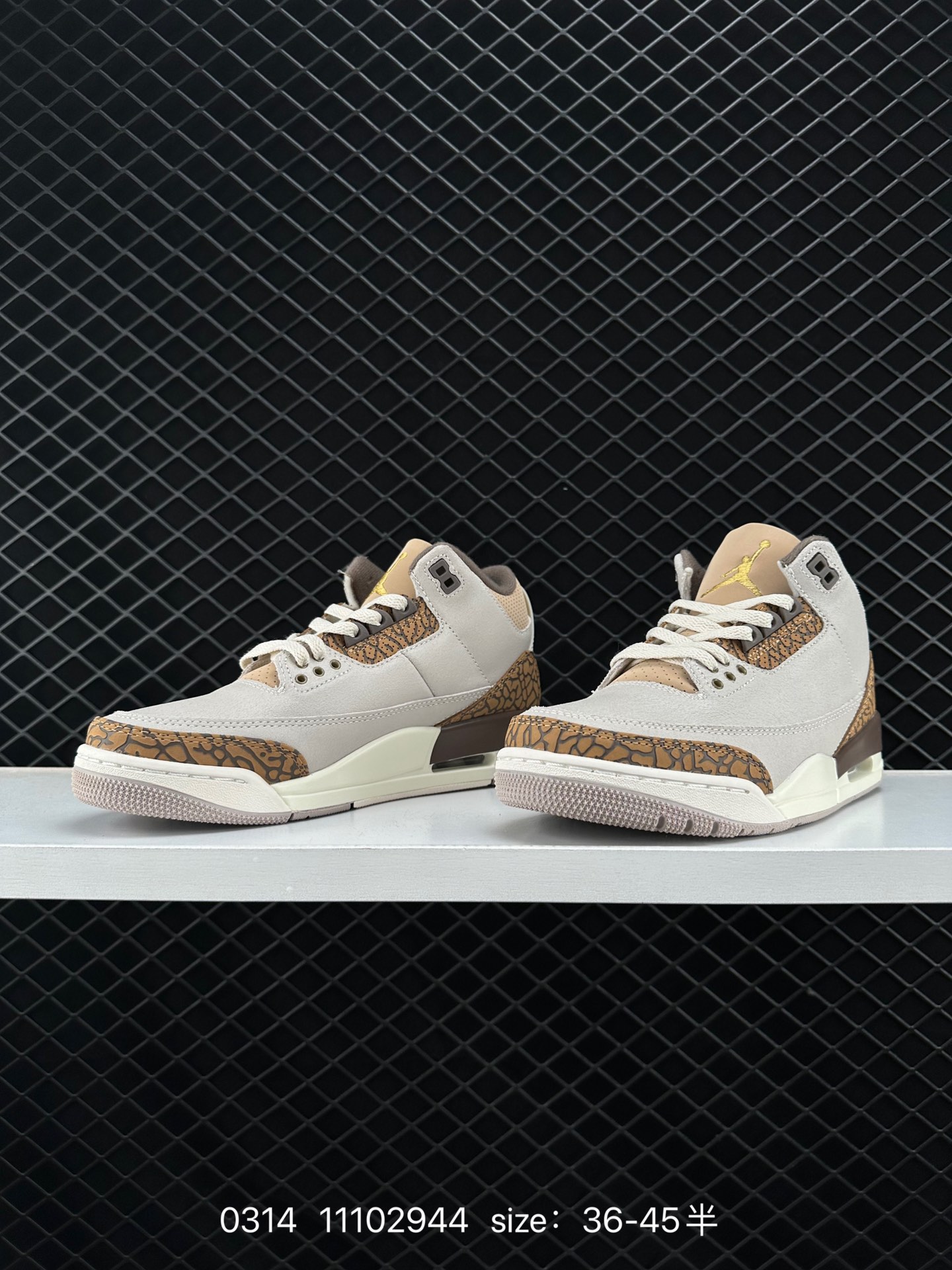 Nike Air Jordan 3 Retro SE